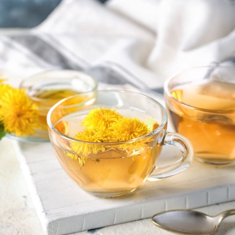 Dandelion Flower Tea Recipe Yum Eating