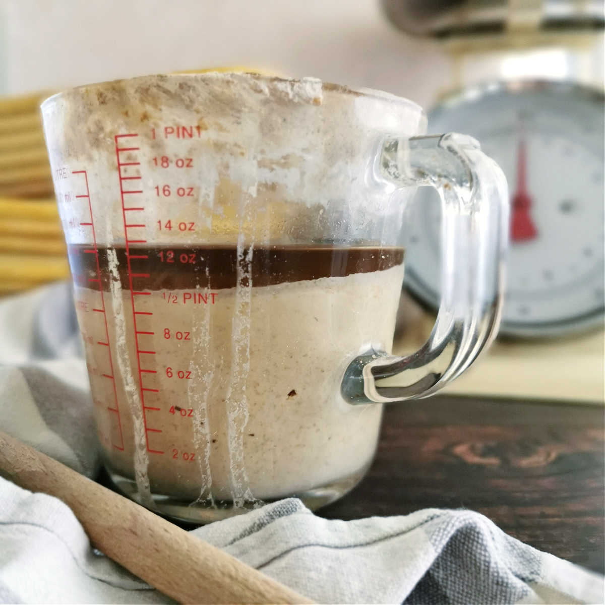 how-to-tell-if-your-sourdough-starter-has-gone-bad-tips-to-fix-it