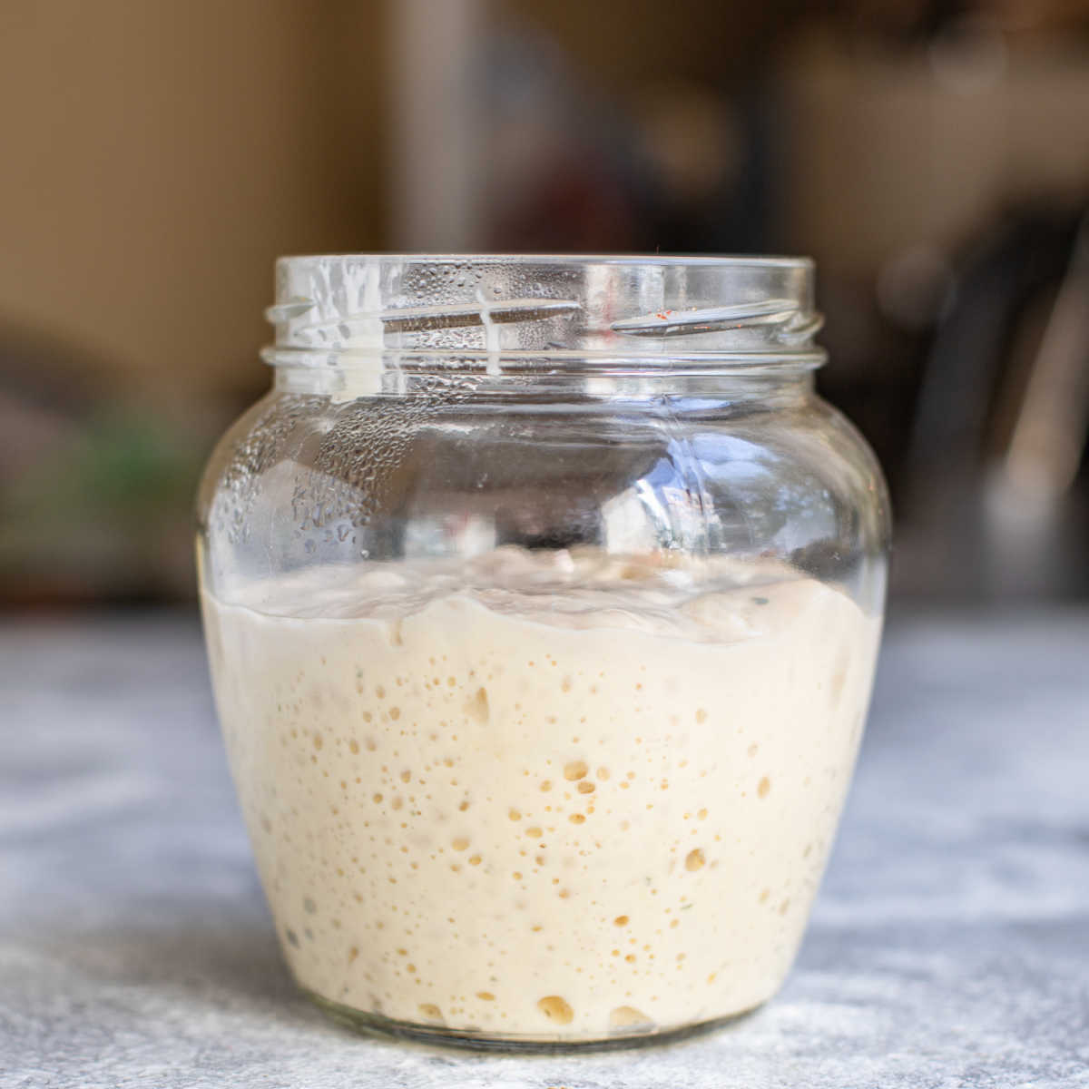 Can you freeze sourdough starter? The Complete Guide